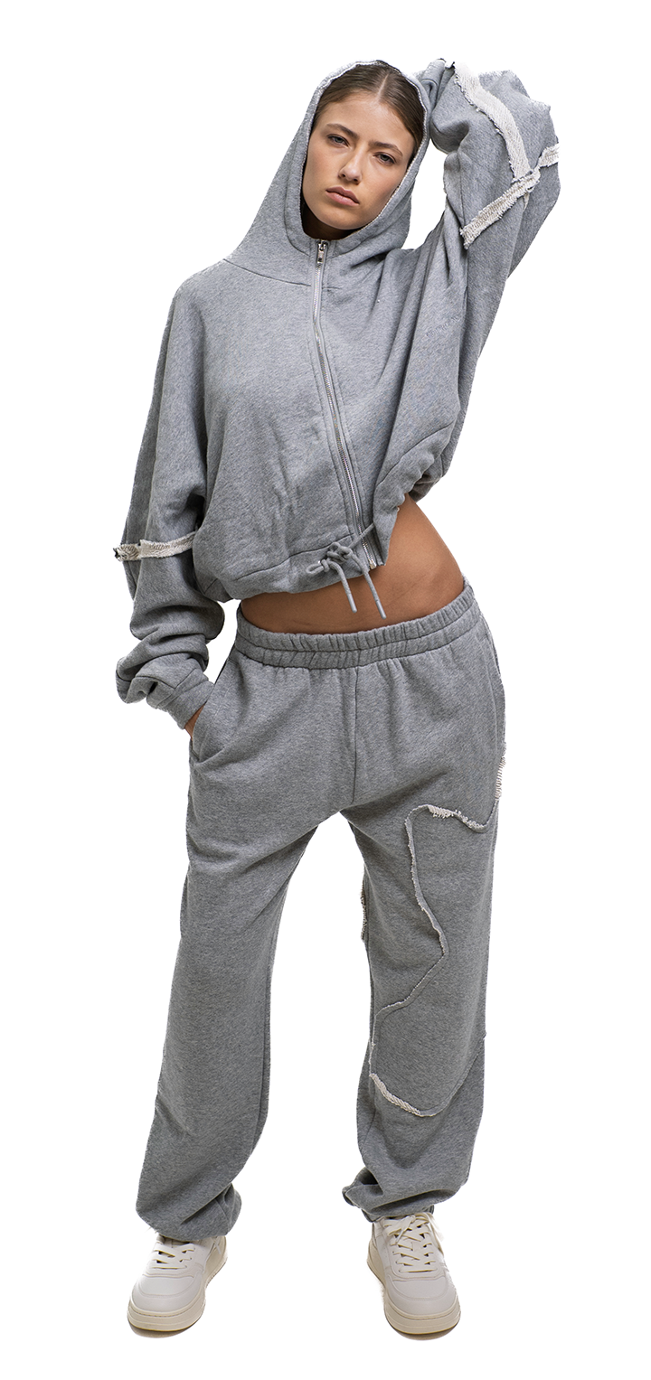 Hoodie zip sweatshirt - Light gray