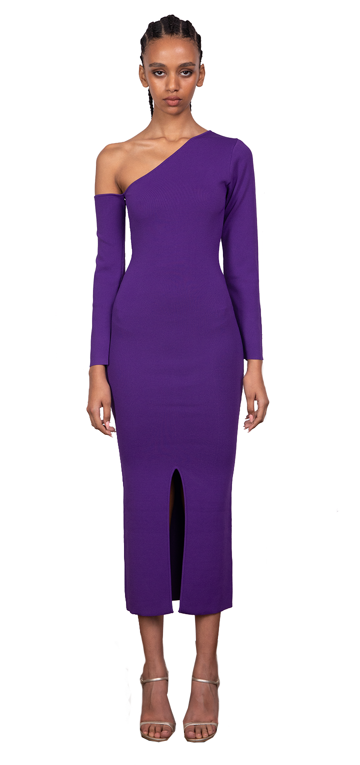 Federica Long Sleeve Dress - Purple